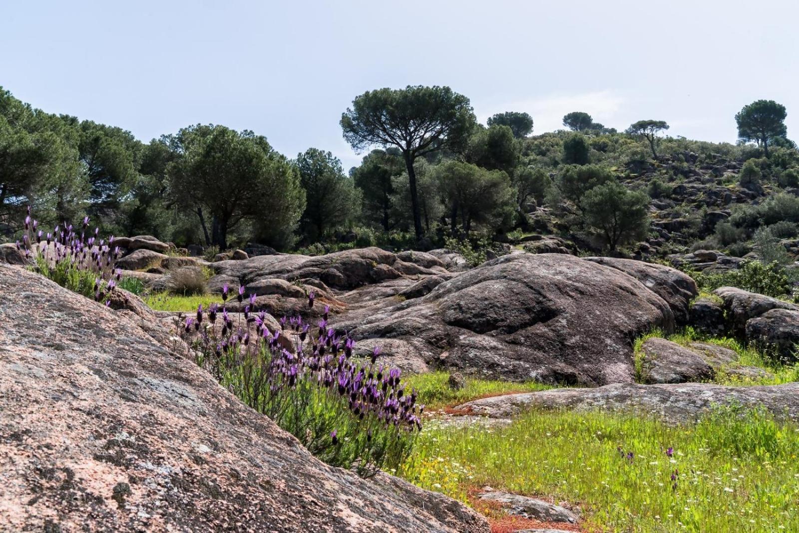 Casa El Paraiso Del Lago Alojamiento Rural Cordoba Ngoại thất bức ảnh